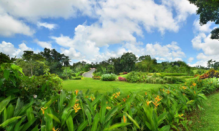towns-delight-catering-venue-preziosa-botanic-park-farm-and-resort-garden-wedding-tagaytay-cavite.jpg